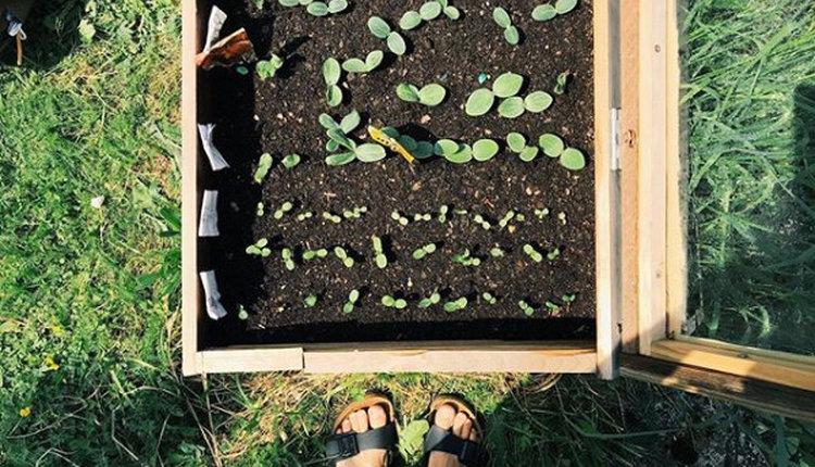 Zerowaste nejen jako životní styl