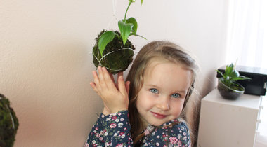 DIY: Kokedama