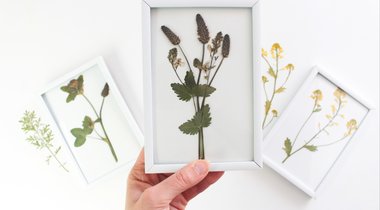 DIY: Obrázky s vylisovanými květinami
