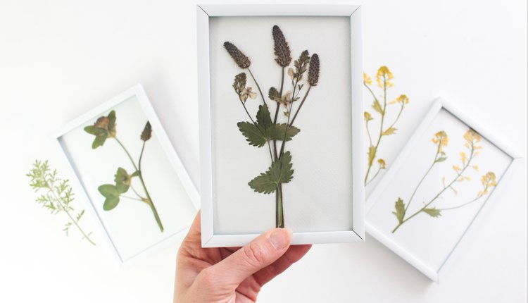 DIY: Obrázky s vylisovanými květinami