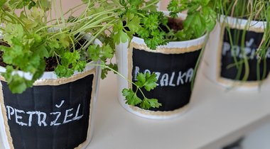 DIY: Květináče na bylinky