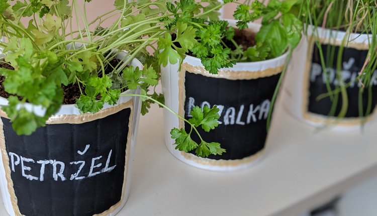 DIY: Květináče na bylinky